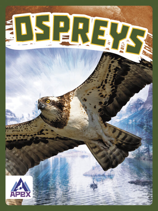 Title details for Ospreys by Connor Stratton - Available